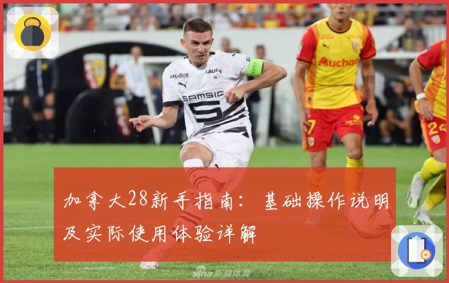 加拿大28新手指南：基础操作说明及实际使用体验详解