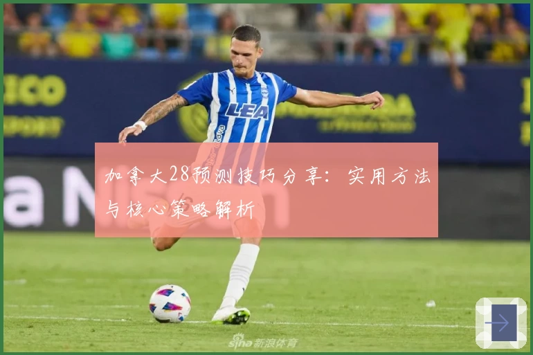 加拿大28预测技巧分享：实用方法与核心策略解析