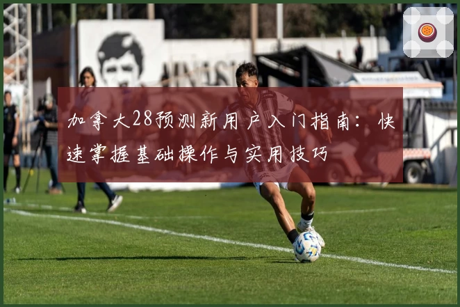 加拿大28预测新用户入门指南：快速掌握基础操作与实用技巧