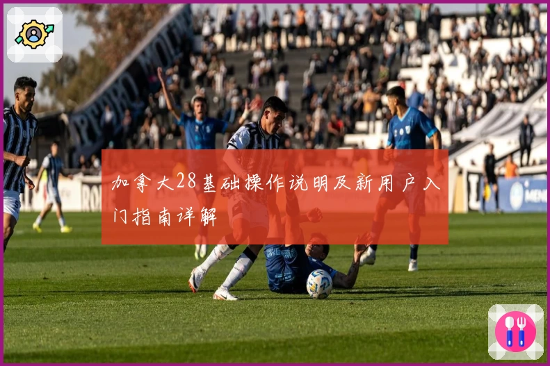 加拿大28基础操作说明及新用户入门指南详解