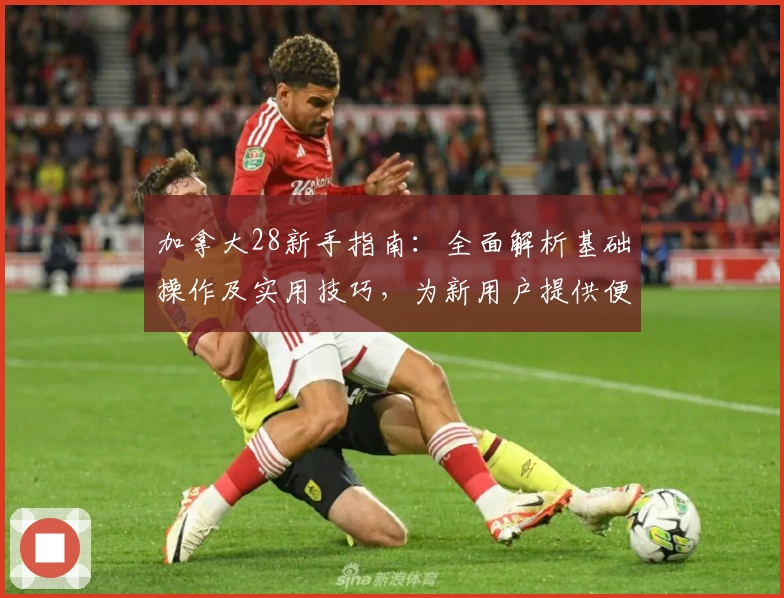 加拿大28新手指南：全面解析基础操作及实用技巧，为新用户提供便捷入门方案