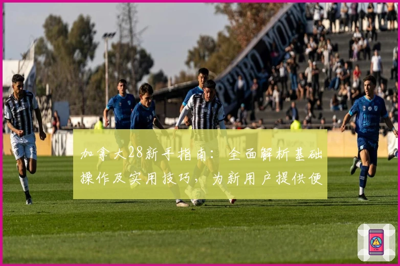 加拿大28新手指南：全面解析基础操作及实用技巧，为新用户提供便捷入门方案