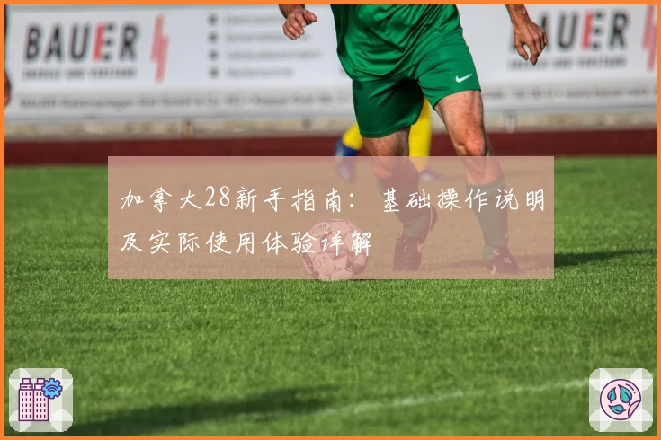 加拿大28新手指南：基础操作说明及实际使用体验详解