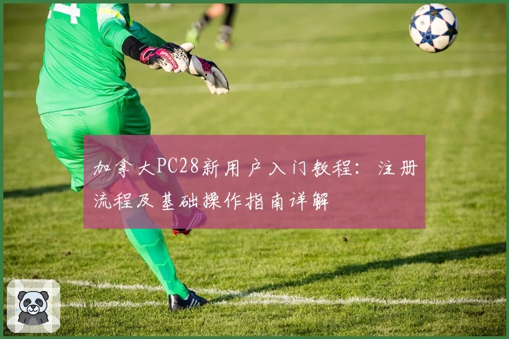 加拿大PC28新用户入门教程：注册流程及基础操作指南详解