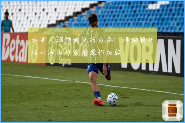 加拿大28预测技巧分享：详细解析核心方法与实用操作经验