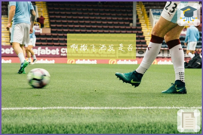 新手指南：加拿大28平台核心功能解析及用户实际使用体验分析